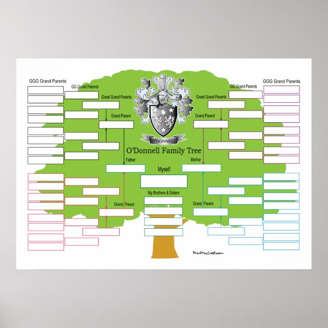 Póster Árbol de familia O'Donnell (Frente)