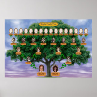 Póster Árbol de familia Taylor