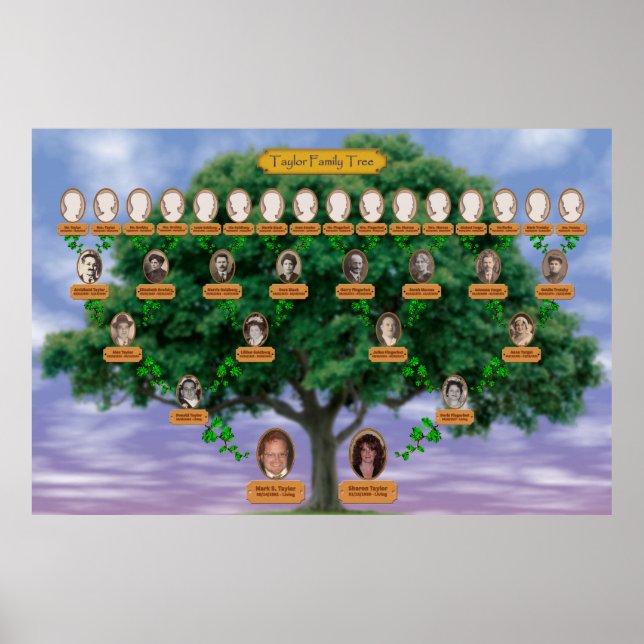Póster Árbol de familia Taylor (Frente)
