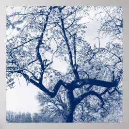 Póster Árbol de flores de cerezo, azul Delfts
