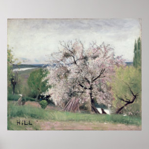 Póster Árbol de frutas en flor, Bois-le-Roi