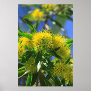 Póster Árbol de guijarros amarillo