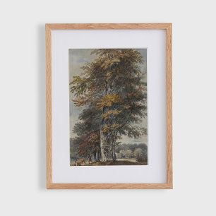 Póster Árbol de haya, hombre, ganado bovino y ovino, cose