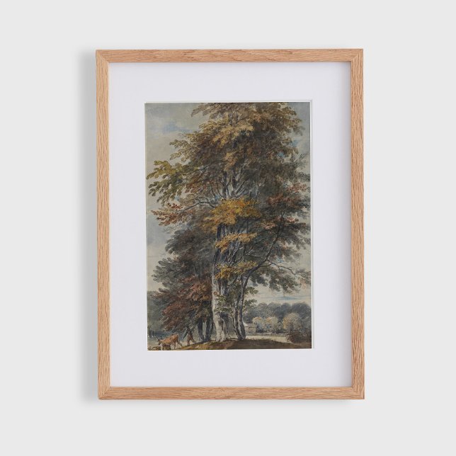 Póster Árbol de haya, hombre, ganado bovino y ovino, cose (Subido por el creador)