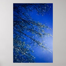 Póster Árbol de hielo azul abstracto