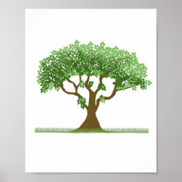 Póster Árbol de hoja