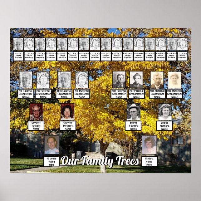 Póster Árbol de hojas doradas Foto 2 árboles familiares (Frente)