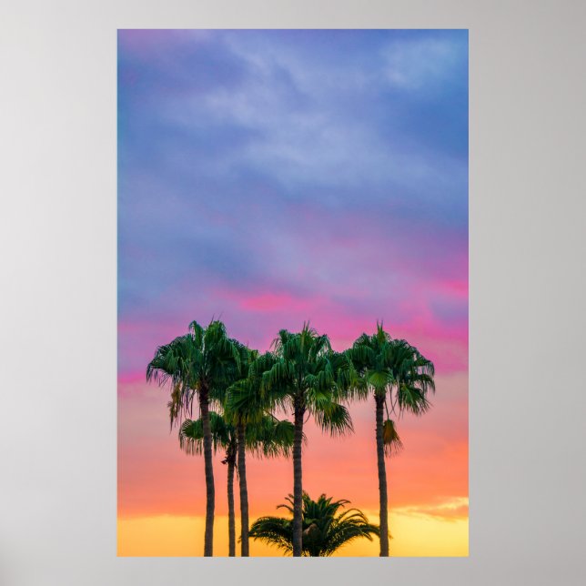 Póster Árbol de hojas verdes bajo cielo azul durante la h (Frente)