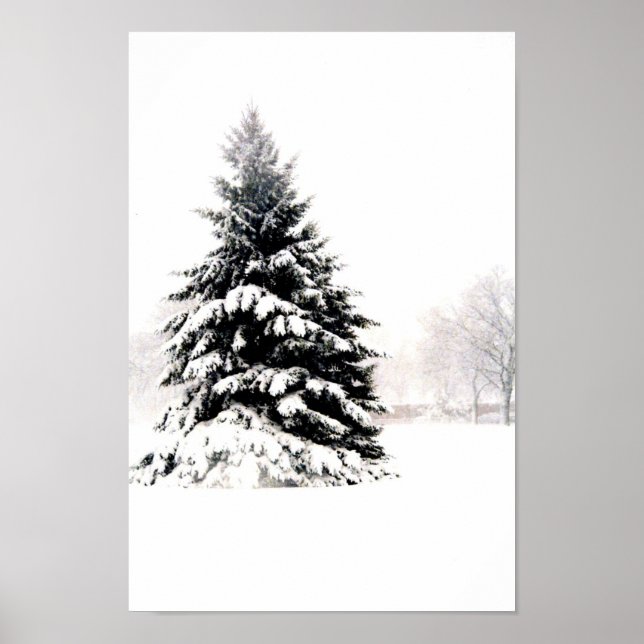 Póster Árbol de invierno (Frente)