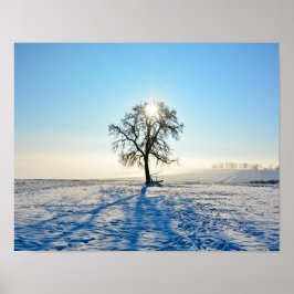 Póster Árbol de invierno -