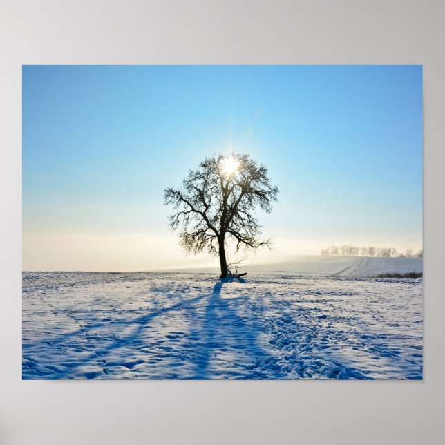 Póster Árbol de invierno - (Frente)