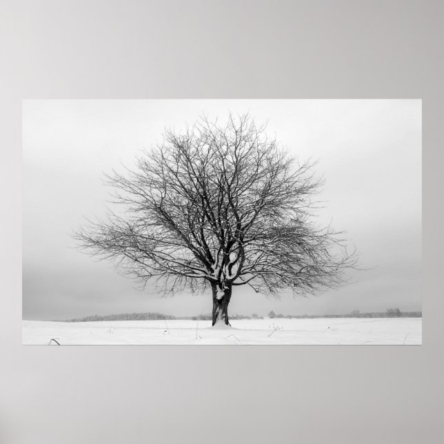 Póster árbol de invierno (Frente)