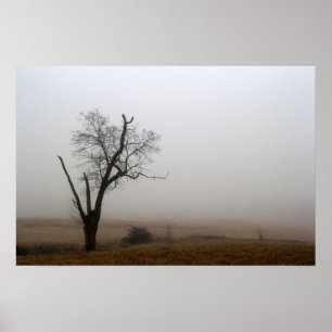 Póster Árbol de invierno prado brumoso