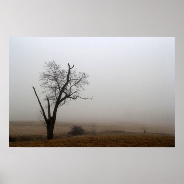 Póster Árbol de invierno prado brumoso (Frente)