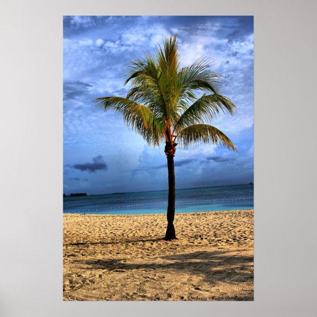 Póster Árbol de islas (Frente)