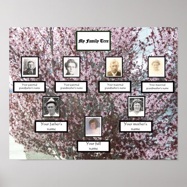Póster Árbol de la familia fotográfica de tres generacion (Frente)