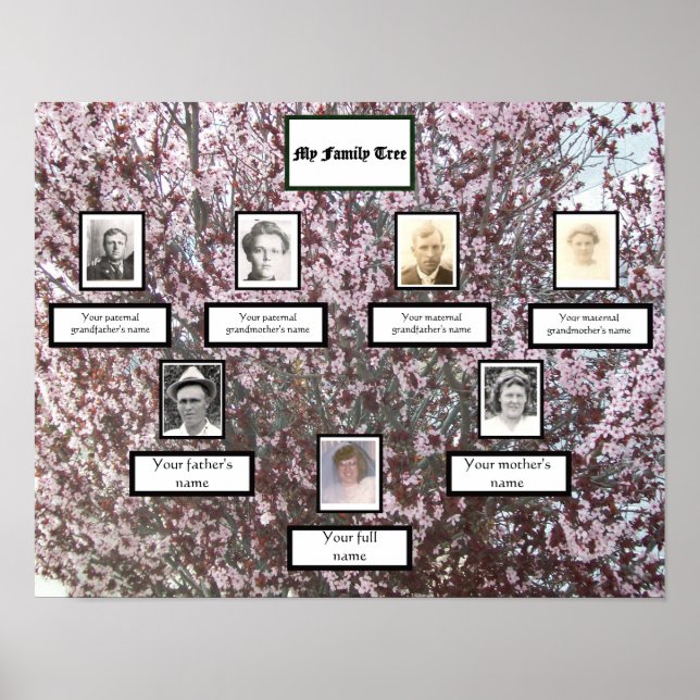 Póster Árbol de la familia fotográfica de tres generacion (Frente)