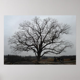 Póster Árbol de la guarida de los diablos