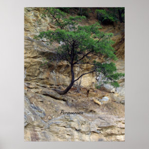 Póster Árbol de la perseverencia