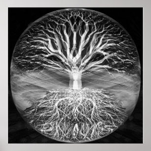 Póster Árbol de la serenidad blanco y negro de la vida
