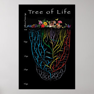 Póster Árbol de la vida