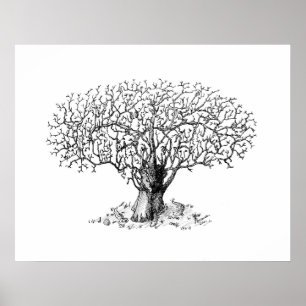Póster Árbol de la vida - animales