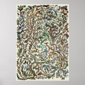 Póster Árbol de la vida - Poster de la evolución - Color