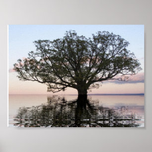 Póster Árbol de la vida (reflexiones)