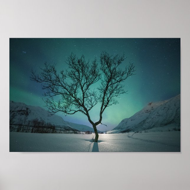 Póster Árbol de luces boreales (Frente)