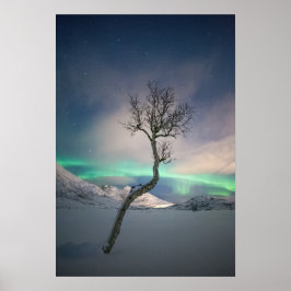 Póster Árbol de luces boreales