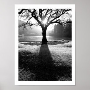 Póster Árbol de luz: Derwentwater, Cumbria