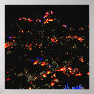 Póster Árbol de Mimosa brillante
