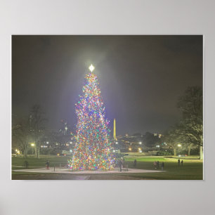 Póster Árbol de Navidad Capitolio de EE. UU. Poster Washi