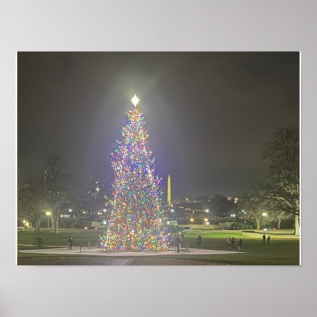 Póster Árbol de Navidad Capitolio de EE. UU. Poster Washi (Frente)