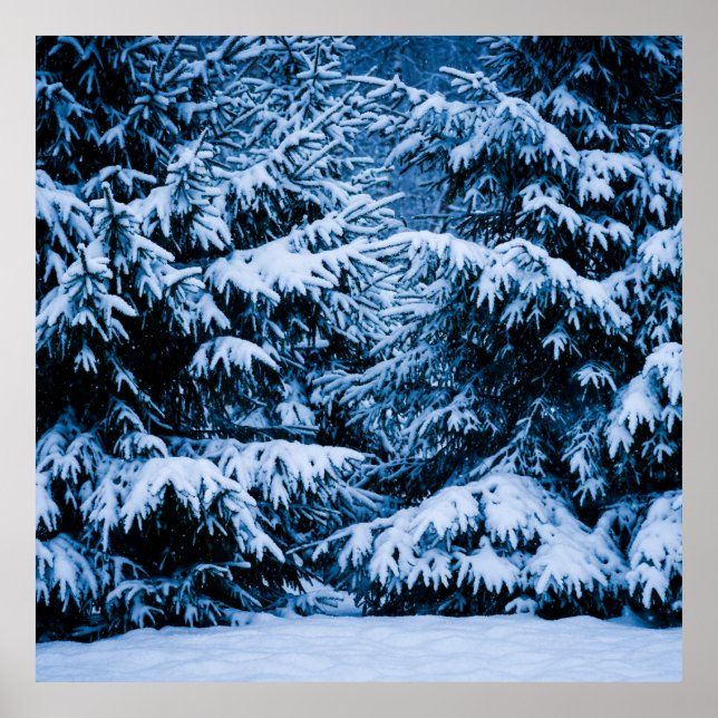 Póster Árbol de Navidad de los bosques de invierno (Frente)