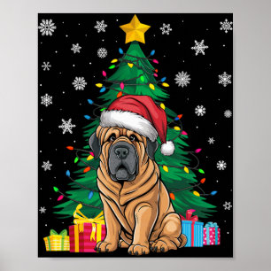 Póster Árbol de navidad sudoroso ilumina a perro escurrid