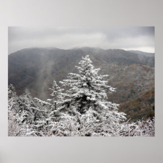 Póster Árbol de nieve