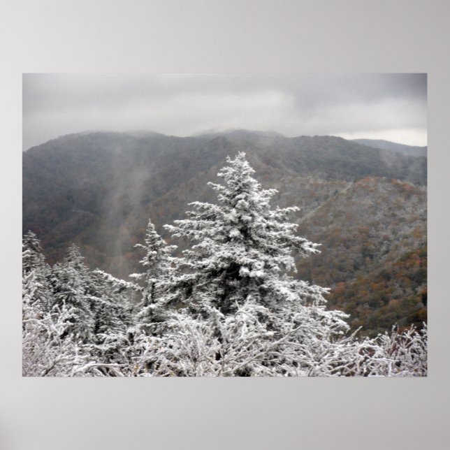 Póster Árbol de nieve (Frente)