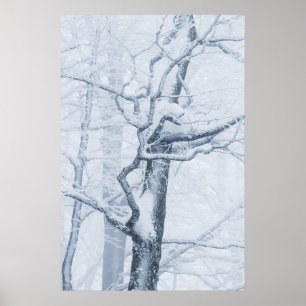Póster Árbol de nieve congelado