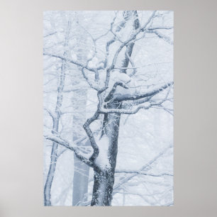 Póster Árbol de nieve congelado