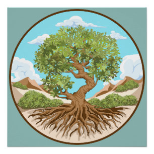 Póster Árbol de oliva Símbolo de paz en tierra palestina 
