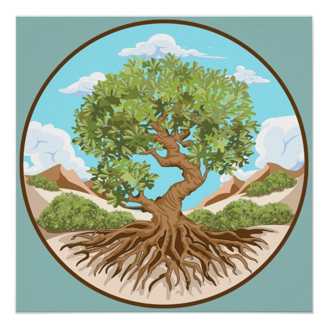 Póster Árbol de oliva Símbolo de paz en tierra palestina  (Anverso)