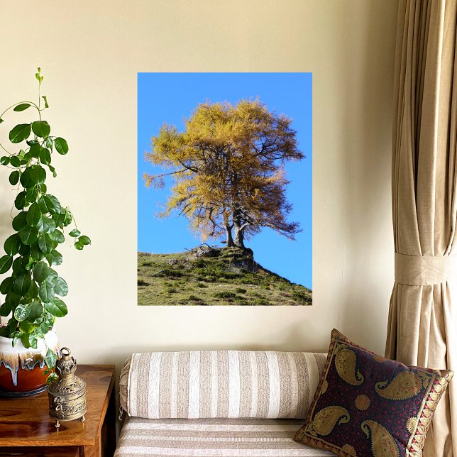 Póster Árbol de Otoño (Subido por el creador)