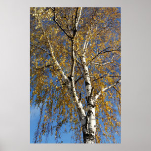 Póster Árbol de otoño
