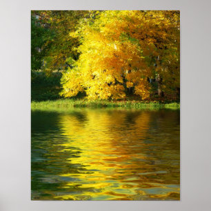 Póster Árbol de otoño en el bosque con reflexión
