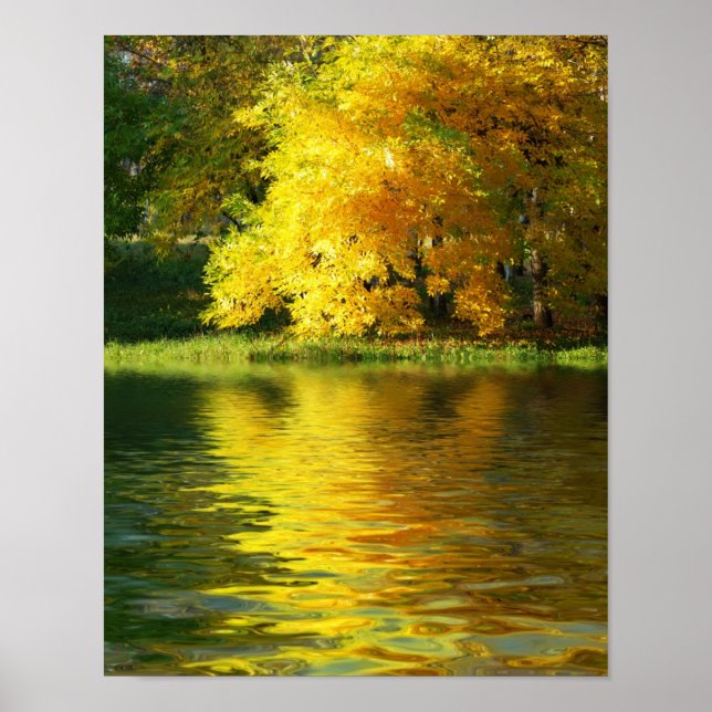 Póster Árbol de otoño en el bosque con reflexión (Frente)
