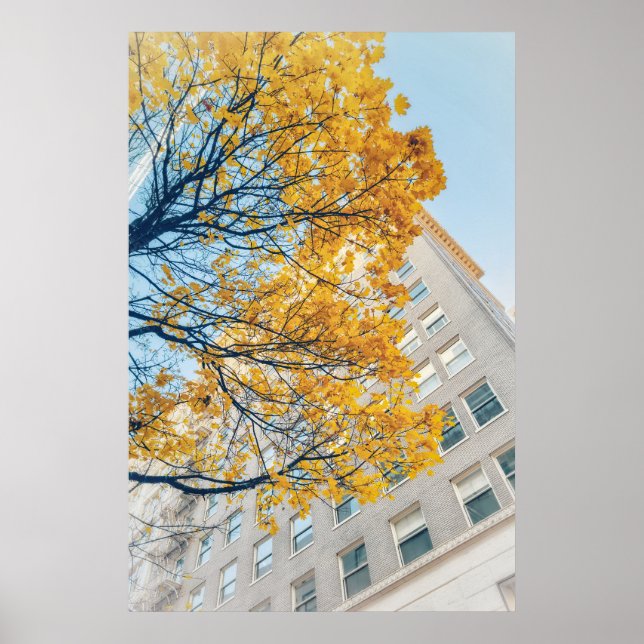 Póster Árbol de otoño y edificio alto (Frente)