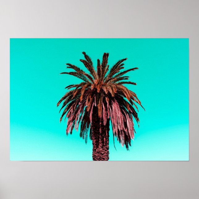 Póster Árbol de palma de California (Frente)