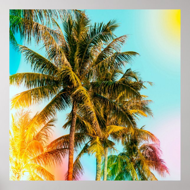 Póster Árbol de palma - imágenes de estilo de efecto vint (Frente)