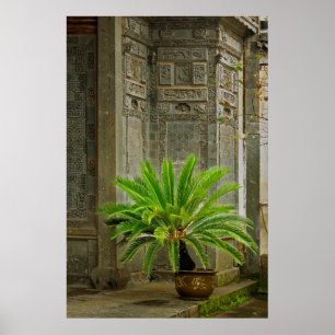 Póster Árbol de palmas Hongcun (China)